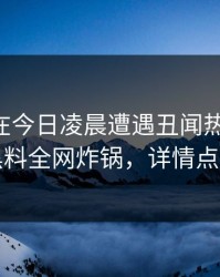 当事人在今日凌晨遭遇丑闻热议不止，黑料全网炸锅，详情点击