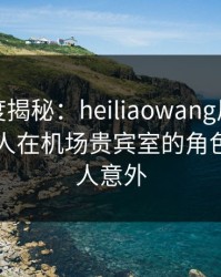 黑料深度揭秘：heiliaowang风波背后，当事人在机场贵宾室的角色彻底令人意外