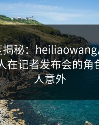黑料深度揭秘：heiliaowang风波背后，神秘人在记者发布会的角色彻底令人意外