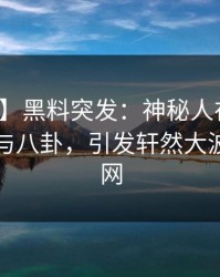 【爆料】黑料突发：神秘人在深夜被曝曾参与八卦，引发轩然大波席卷全网