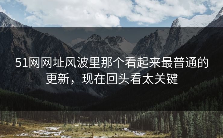 51网网址风波里那个看起来最普通的更新，现在回头看太关键