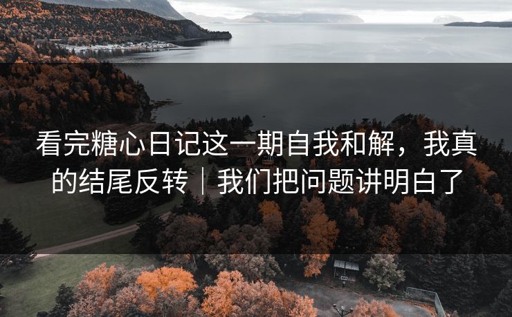 看完糖心日记这一期自我和解，我真的结尾反转｜我们把问题讲明白了